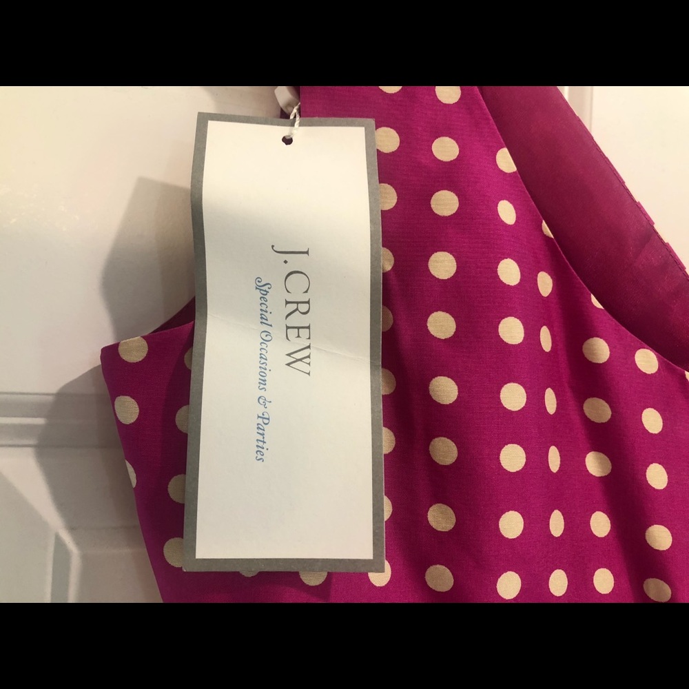 JCrew Knee Length Special Ocassion Dress - Picture 4 of 5
